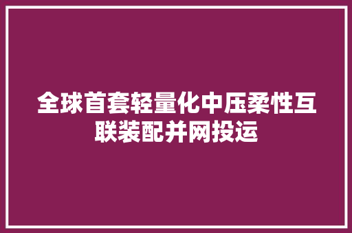 全球首套轻量化中压柔性互联装配并网投运