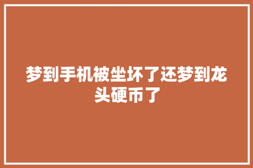 梦到手机被坐坏了还梦到龙头硬币了