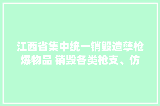 江西省集中统一销毁造孽枪爆物品 销毁各类枪支、仿真枪超3400余支