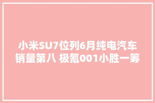 小米SU7位列6月纯电汽车销量第八 极氪001小胜一筹