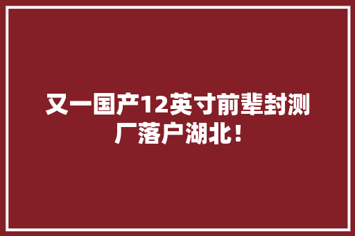 又一国产12英寸前辈封测厂落户湖北！