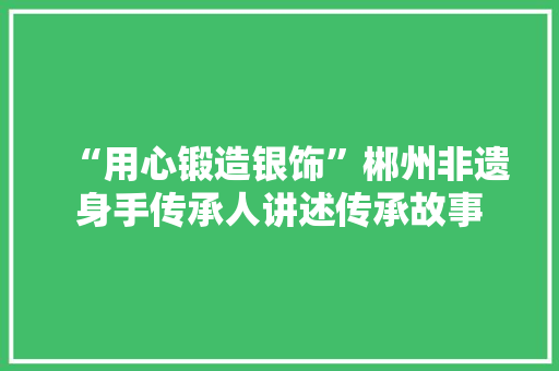 “用心锻造银饰”郴州非遗身手传承人讲述传承故事