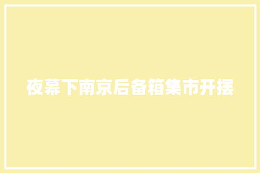 夜幕下南京后备箱集市开摆