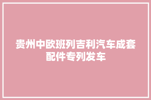 贵州中欧班列吉利汽车成套配件专列发车