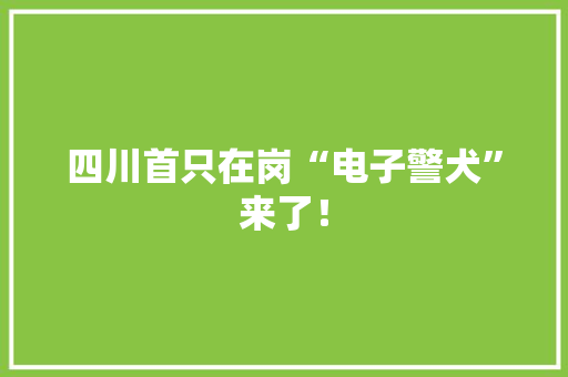 四川首只在岗“电子警犬”来了！