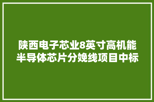 陕西电子芯业8英寸高机能半导体芯片分娩线项目中标公示 陕西电子芯业8英寸高机能半导体芯片分娩线项目中标公示 人工智能