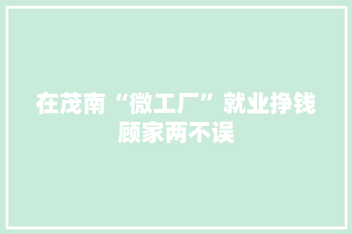 在茂南“微工厂”就业挣钱顾家两不误