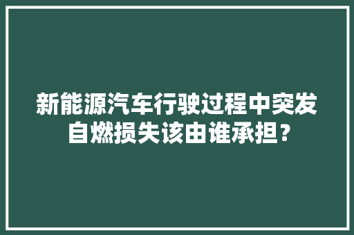 新能源汽车行驶过程中突发自燃损失该由谁承担？ 新能源汽车行驶过程中突发自燃损失该由谁承担？ 智能科技