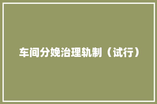 车间分娩治理轨制（试行）