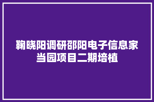 鞠晓阳调研邵阳电子信息家当园项目二期培植