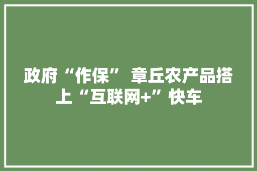 政府“作保” 章丘农产品搭上“互联网+”快车,电商线下培训机构。