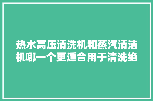 热水高压清洗机和蒸汽清洁机哪一个更适合用于清洗绝缘子？