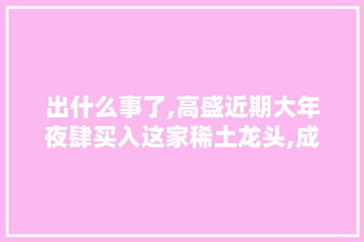 出什么事了,高盛近期大年夜肆买入这家稀土龙头,成交量溘然放大年夜7倍？