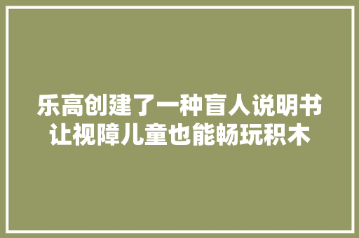 乐高创建了一种盲人说明书让视障儿童也能畅玩积木