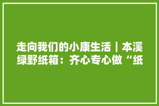 走向我们的小康生活｜本溪绿野纸箱：齐心专心做“纸”品 诚信誉满“箱”