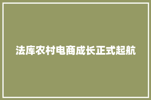 法库农村电商成长正式起航