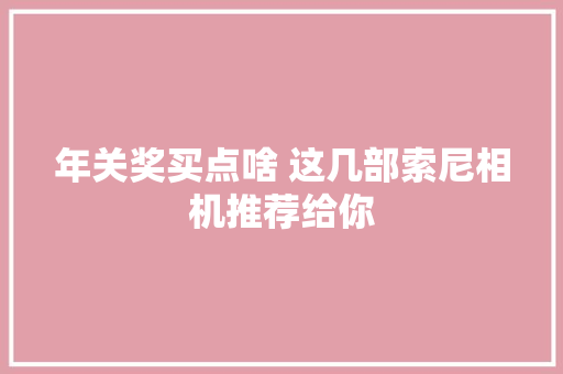 年关奖买点啥 这几部索尼相机推荐给你