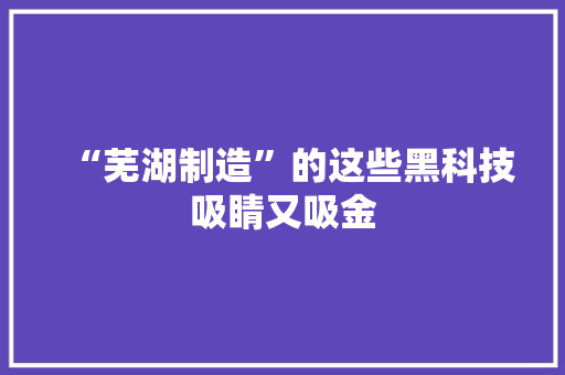 “芜湖制造”的这些黑科技吸睛又吸金 “芜湖制造”的这些黑科技吸睛又吸金 人工智能