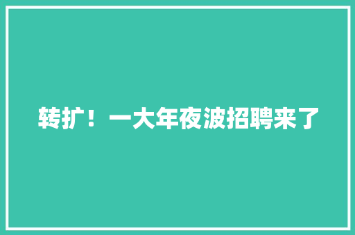 转扩！一大年夜波招聘来了