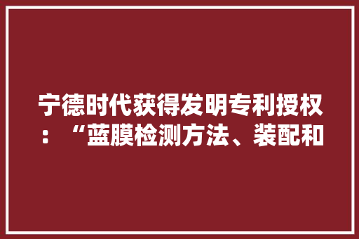 宁德时代获得发明专利授权：“蓝膜检测方法、装配和系统”,检测房屋漏水的第三方机构。