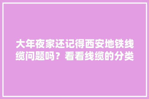 大年夜家还记得西安地铁线缆问题吗？看看线缆的分类