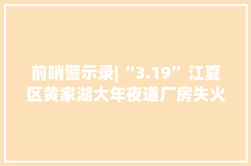 前哨警示录|“3.19”江夏区黄家湖大年夜道厂房失火（二）
