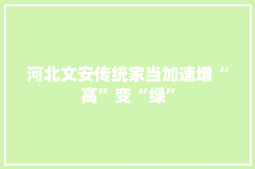 河北文安传统家当加速增“高”变“绿”