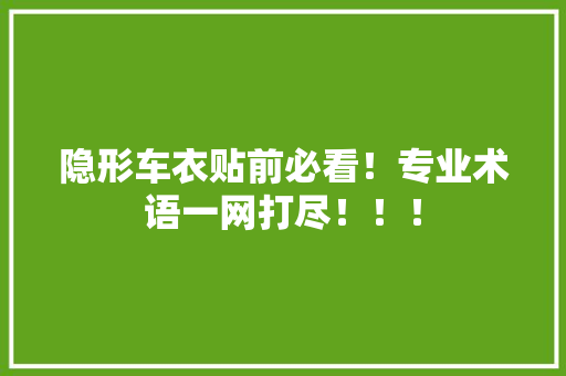隐形车衣贴前必看！专业术语一网打尽！！！