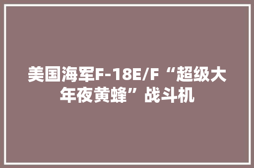 美国海军F-18E/F“超级大年夜黄蜂”战斗机