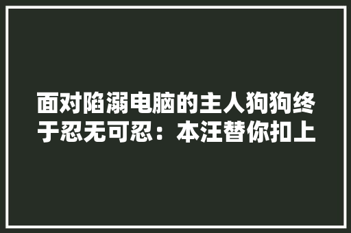 面对陷溺电脑的主人狗狗终于忍无可忍：本汪替你扣上这块铁皮！