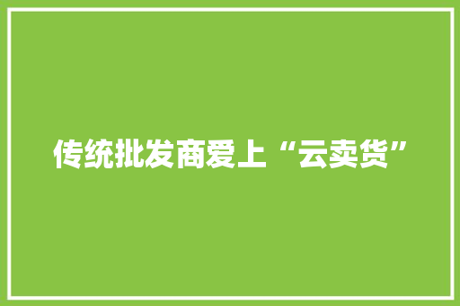 传统批发商爱上“云卖货”