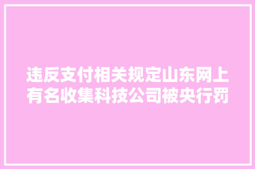 违反支付相关规定山东网上有名收集科技公司被央行罚没近百万元