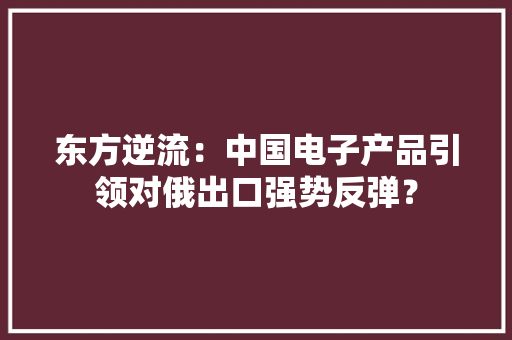 东方逆流：中国电子产品引领对俄出口强势反弹？