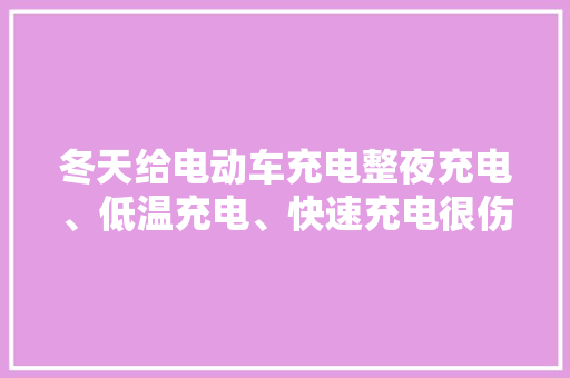 冬天给电动车充电整夜充电、低温充电、快速充电很伤电池