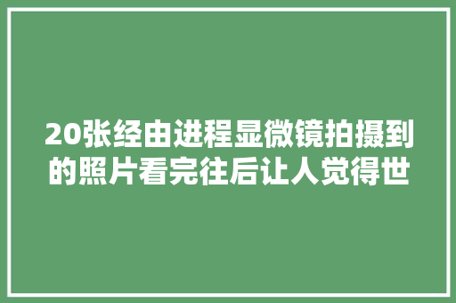 20张经由进程显微镜拍摄到的照片看完往后让人觉得世界不雅观都崩塌了