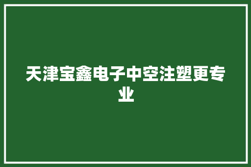 天津宝鑫电子中空注塑更专业 天津宝鑫电子中空注塑更专业 智能科技