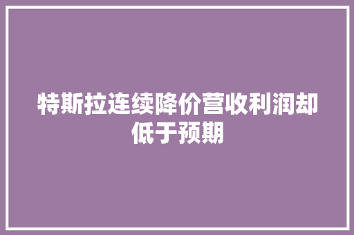 特斯拉连续降价营收利润却低于预期