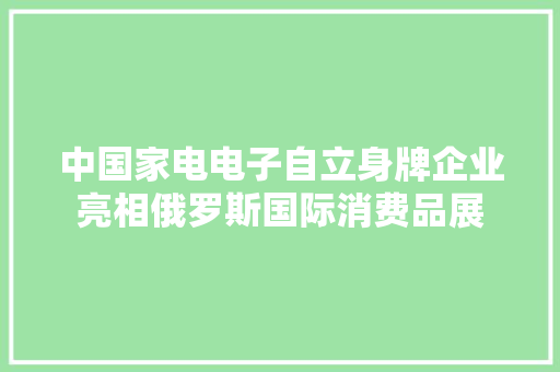 中国家电电子自立身牌企业亮相俄罗斯国际消费品展