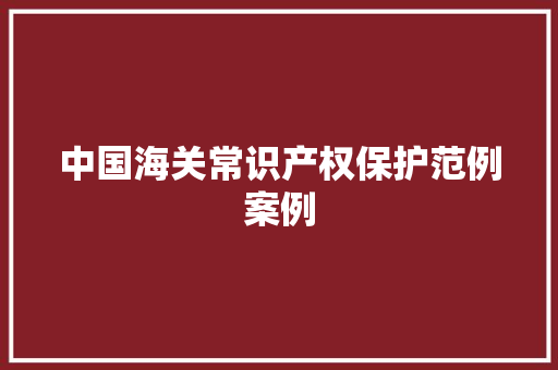 中国海关常识产权保护范例案例
