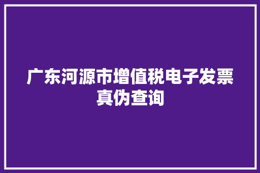 广东河源市增值税电子发票真伪查询