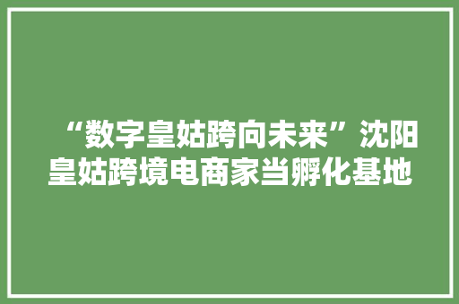 “数字皇姑跨向未来”沈阳皇姑跨境电商家当孵化基地正式开园