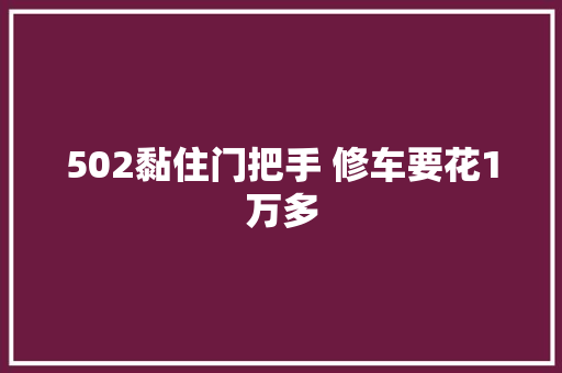 502黏住门把手 修车要花1万多