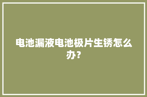 电池漏液电池极片生锈怎么办？ 电池漏液电池极片生锈怎么办？ 人工智能