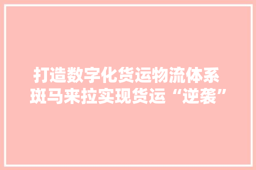 打造数字化货运物流体系 斑马来拉实现货运“逆袭”