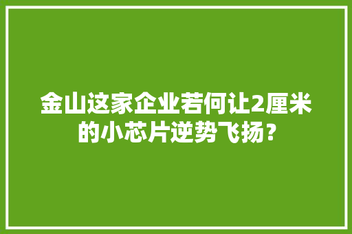 金山这家企业若何让2厘米的小芯片逆势飞扬？