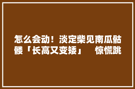 怎么会动！淡定柴见南瓜骷髅「长高又变矮」　惊慌跳车 怎么会动！淡定柴见南瓜骷髅「长高又变矮」　惊慌跳车 智能家居