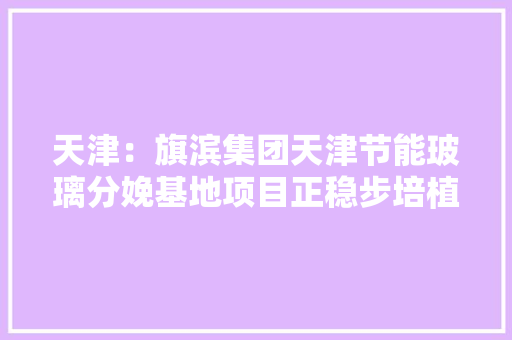 天津：旗滨集团天津节能玻璃分娩基地项目正稳步培植中