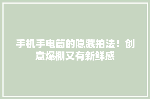 手机手电筒的隐藏拍法！创意爆棚又有新鲜感,点击器自动点击器。