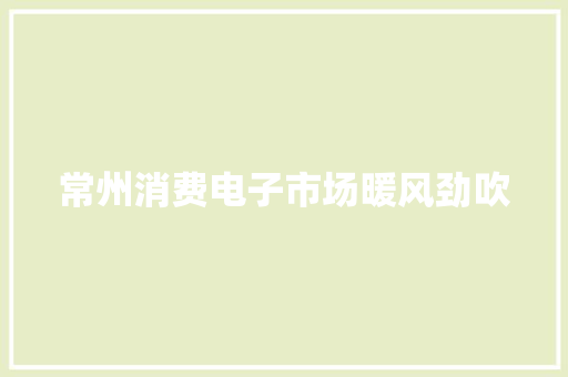 常州消费电子市场暖风劲吹