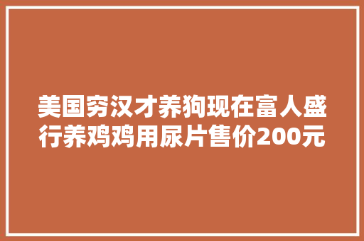 美国穷汉才养狗现在富人盛行养鸡鸡用尿片售价200元！